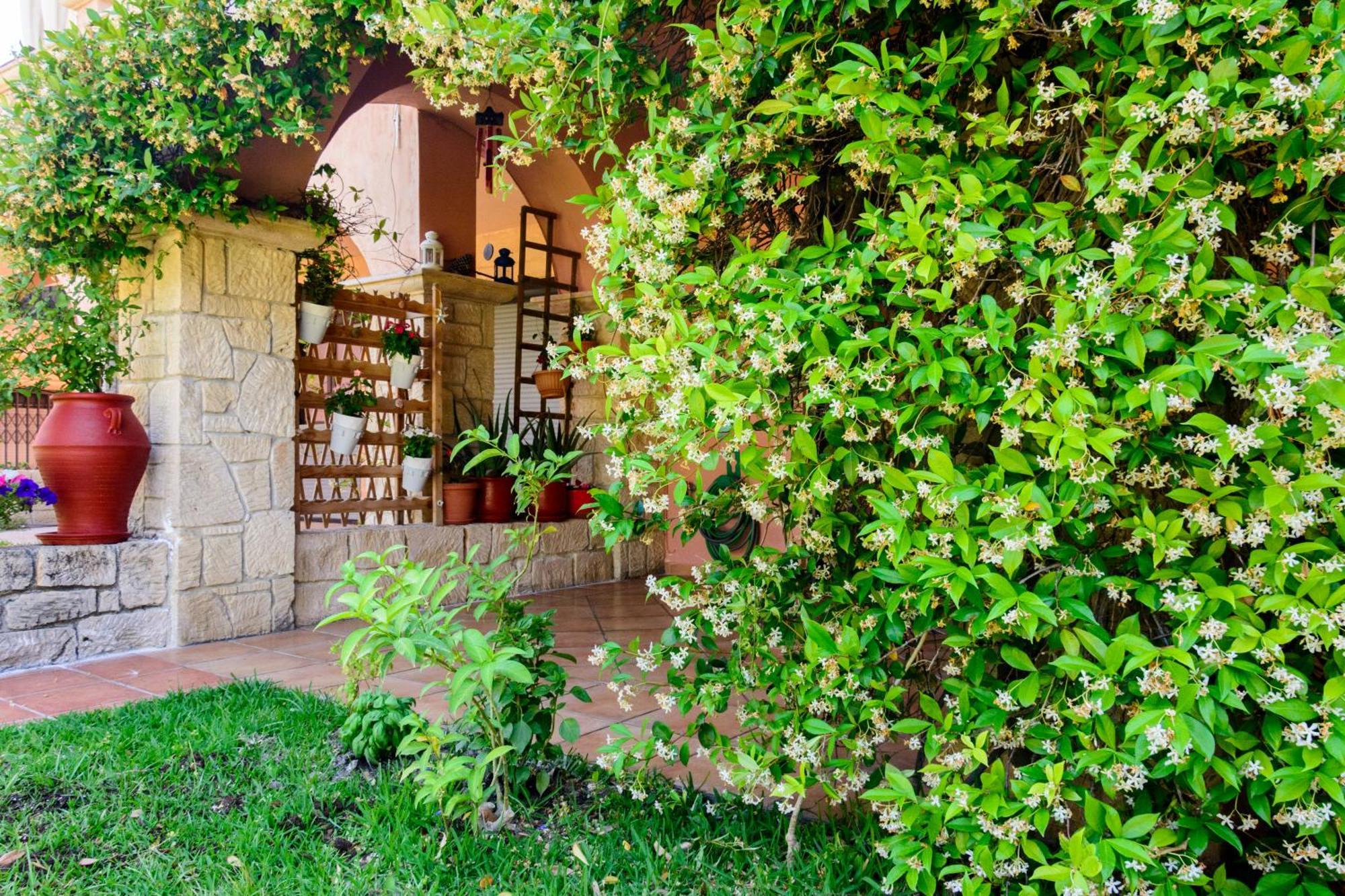 La Luna House Pefkochori Extérieur photo
